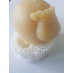 PORTE SAVON LUFFA